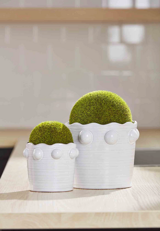 Moss Beaded Pot