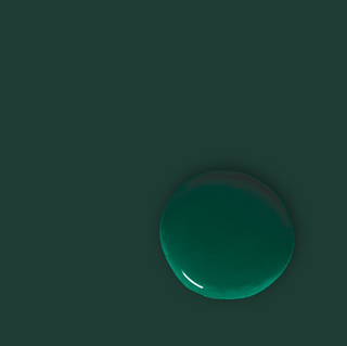 Knightsbridge Green Paint