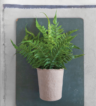 Faux Fern In Paper Pot