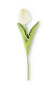 Real Touch White Tulip