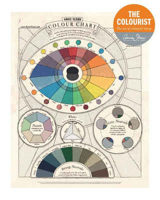 The Colourist - Issue 5