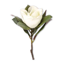 17 Inch White Magnolia Stem