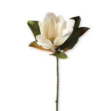 29 Inch White Magnolia Stem